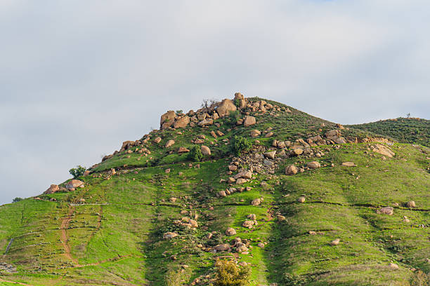 Verdant hillside at Mt Rubidoux Trail and Memorial Park displays numerous large boulders scattered across the lush green terrain under an overcast sky.