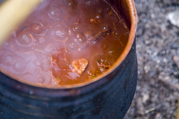 a close up of wild game and vegetables stewing to perfection, in a cauldron hung over a campfire, bubbling and produces steam, close to the mountain village of Brgudac, close the istra region and below the Učka and Čićarija mountain regions.