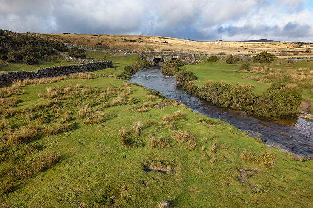 Rugged Dartmoor with bridge and stream in winter South West England
