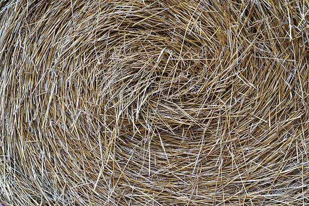 Macro view of a harvested straw bale showing a dense, circular geometric pattern.