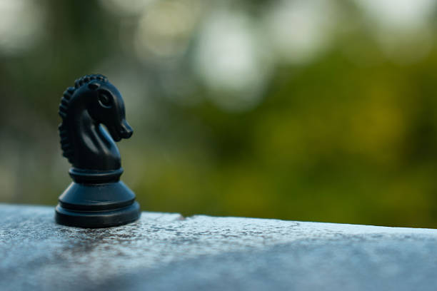 Royal Chess horse black isolated on white background