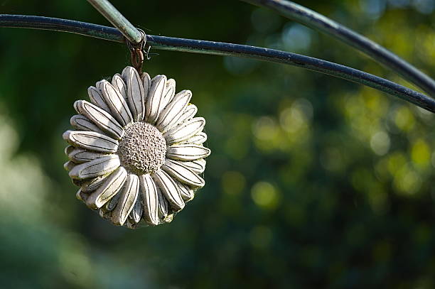 hanging in the garden with a soft focused natural background