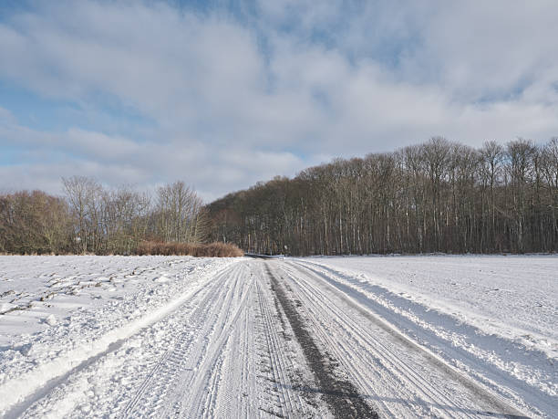 A quiet winter scene shows a snow-covered field leading to a dense stand of bare birch trees in Denmark. Tire tracks mark a path along the snowy road, hinting at recent weather and movement. Pale blue sky and soft light create a peaceful mood, inviting reflection and seasonal calm.