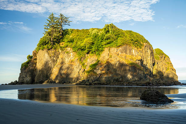 Abbey Island at Ruby Beach at Sunrise, Olympic National Park, Washington State, USA