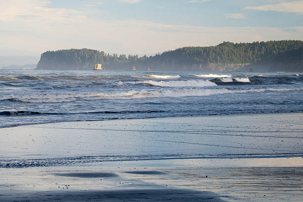Pacific Ocean view at Ruby Beach in Olympic National Park, Washington State, USA