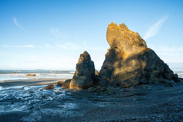 Sea stacks at Ruby Beach in Olympic National Park, Washington State, USA