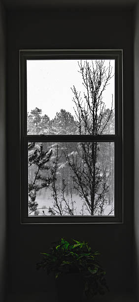 Looking out of the window to discover the charming of the snow day.