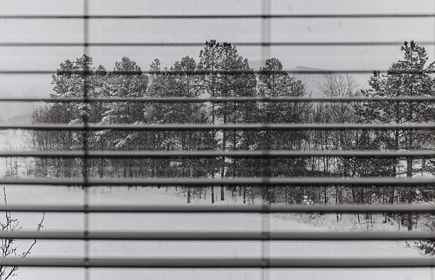 Looking through the blinds to discover the charming of the snow day.