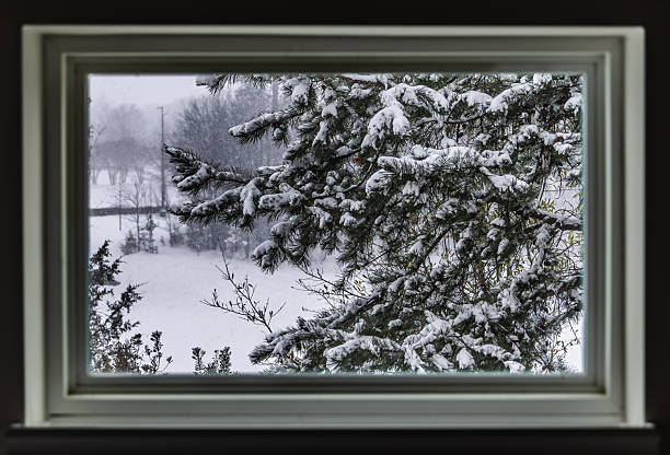 Looking out of the window to discover the charming of the snow day.