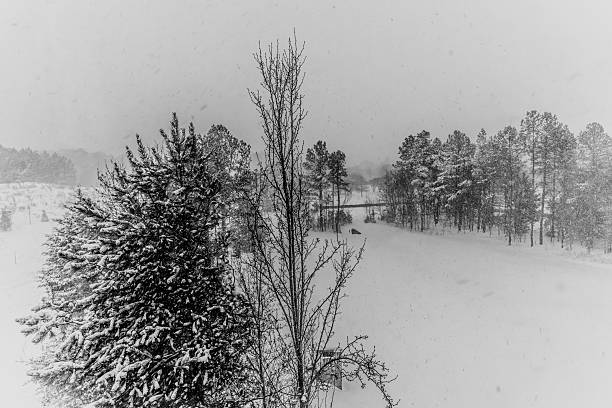 Snow quietly falling from the sky to carpet the entire land.