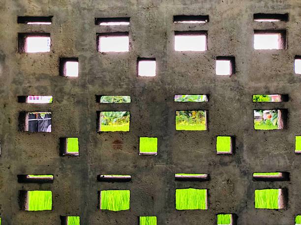 A beautiful green rice field view artistically framed through a minimalist concrete vent wall