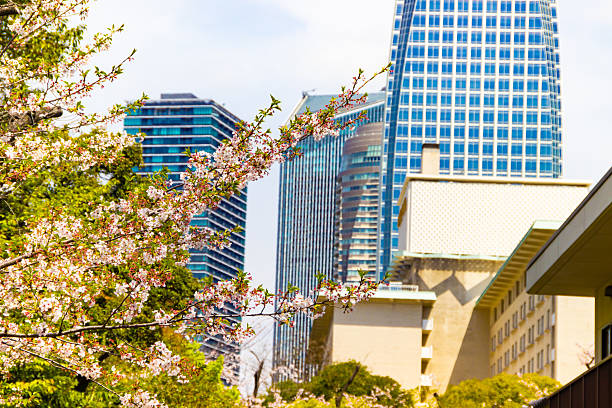 Tokyo city views, streets and architecture Japan