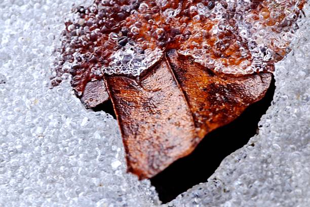 A dramatic macro shot capturing the sharp contrast between a warm, copper-colored leaf and a cold, bubbly ice crust. The composition features a deep, shadowy void that adds mystery, while the intricate ice crystals highlight the delicate preservation of nature in winter