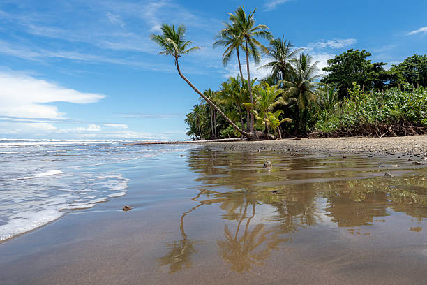 Jungle and beach in Uvita, Costa Rica on a sunny day