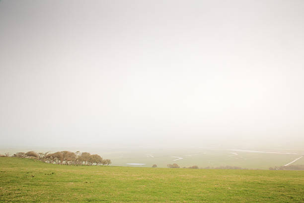 A quiet, foggy grassland scene with a gentle horizon and distant trees. Evokes calm, solitude, and expansive rural morning atmosphere.