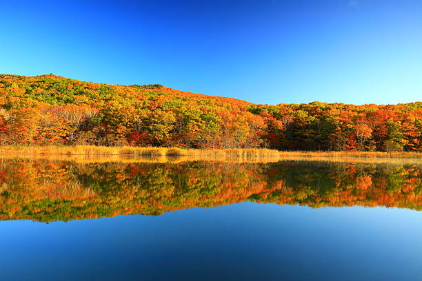 Nature landscapes, autumn colors trees reflect on lake.