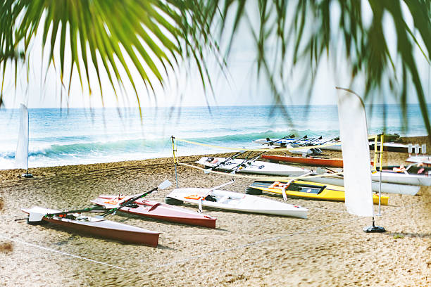 Sunlight through a palm tree at the beach with kayaks at background