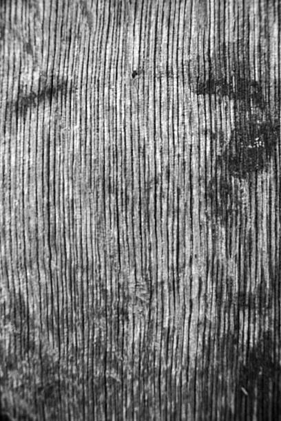 Close up of black and white weathered wood surface with visible grain lines creating abstract rustic texture background.