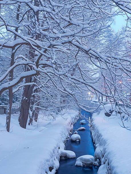 Snowy urban stream with frost-covered trees and warm streetlights during blue hour in winter, Sapporo