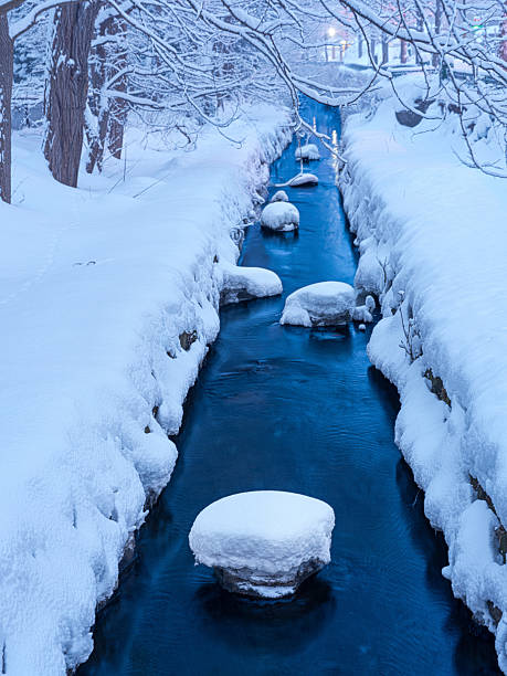 Snowy urban stream with frost-covered trees and warm streetlights during blue hour in winter, Sapporo