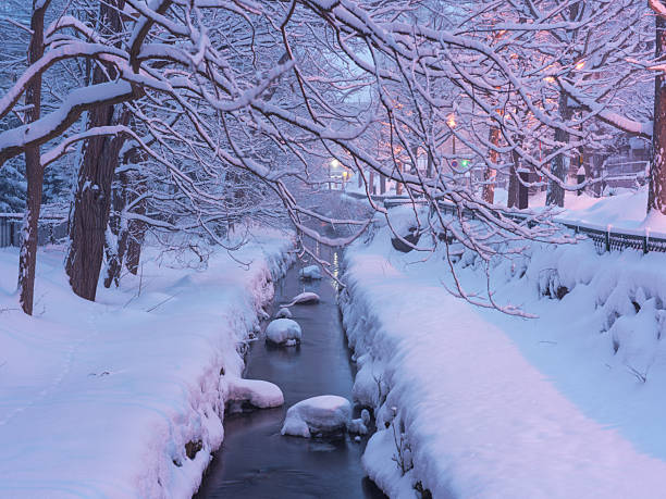 Snowy urban stream with frost-covered trees and warm streetlights during blue hour in winter, Sapporo