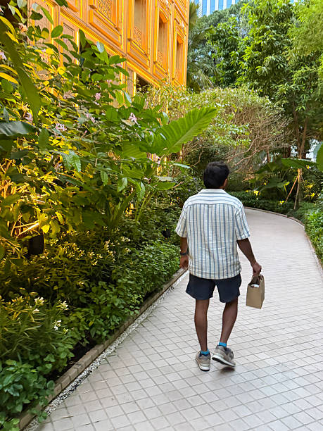 Stock photo shows a person walking along a diagonal brick block paved garden pathway surrounded by lush plants, trees, and shrubs. The patterned bricks create visual interest while the greenery enhances the serene outdoor setting