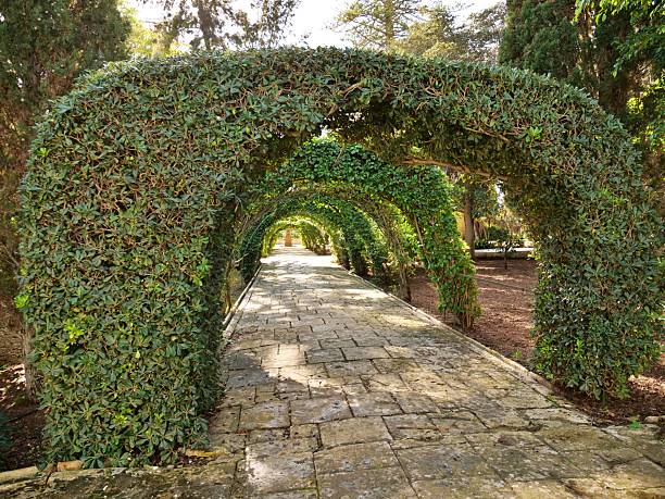 garden of a historic villa in the Veneto
