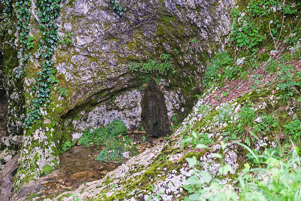 istock Natural spring seeping from mossy limestone rock face in Georgia 2259399019