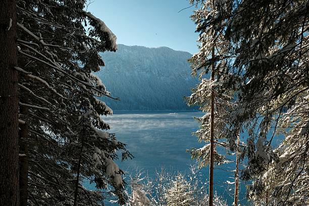 Chairs covered by snow on the lake shore with view on the iced forest