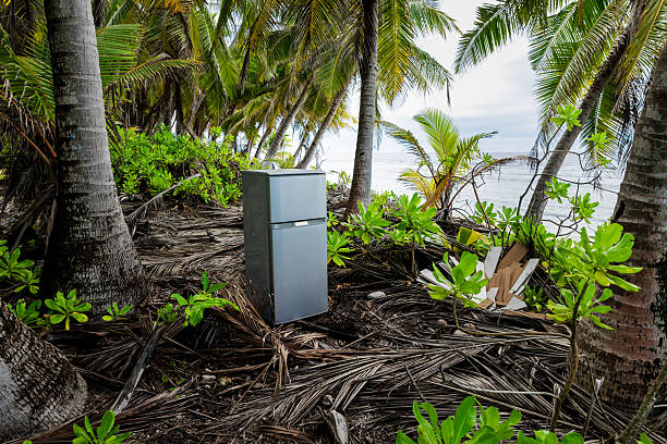 Abandoned refrigerator on tropical beach among palm trees