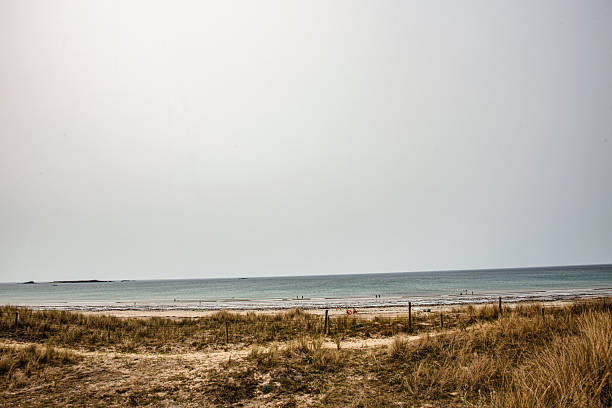 Tranquil coastal landscape with dune grass in the foreground and gentle waves in the background, natural charm, relaxation and summer idyll.
