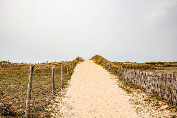 Footpath on the Atlantic Dune in Brittany