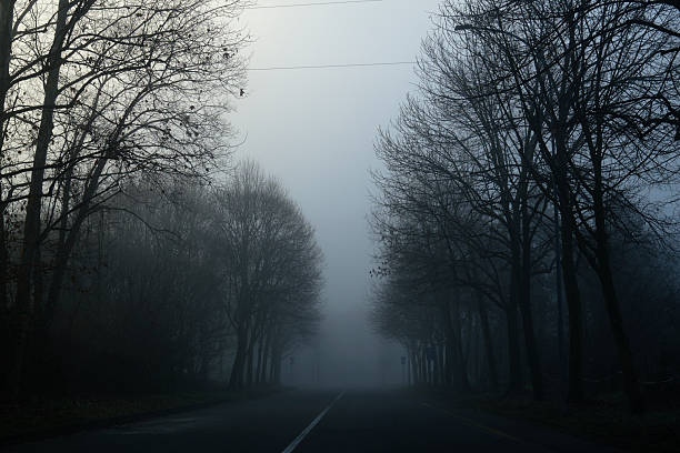 A straight road lined with bare winter trees fades into dense fog, creating a symmetrical and atmospheric scene. The low visibility and muted tones evoke silence, uncertainty, transition, and a sense of journey into the unknown. No people present.