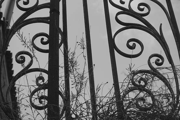Vintage balcony railing with floral pattern design and withered plants tangled through the rusty metal shapes.