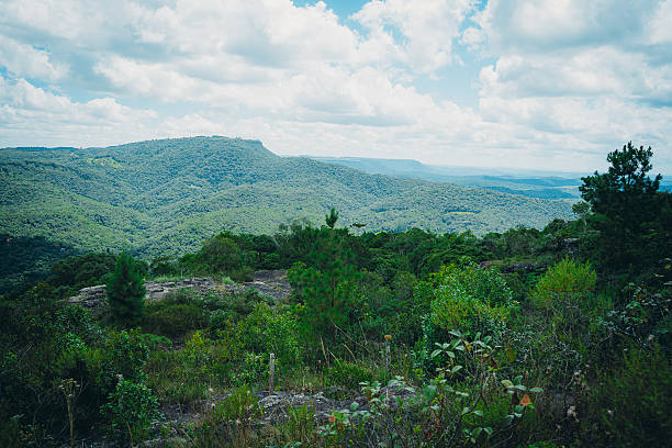 Faxina Canyon. Parana, Barazil. November 20, 2025 - Mountain iking Through Brazilian Forest Adventure.