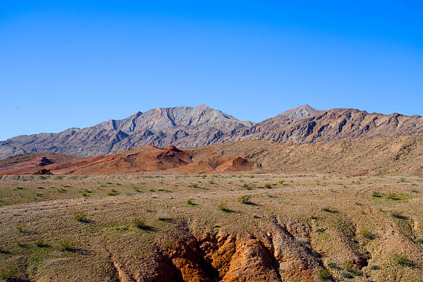 A wide desert plain extends toward distant mountains in Lake Mead National Recreation Area, Nevada, featuring scattered vegetation and gently eroded terrain.