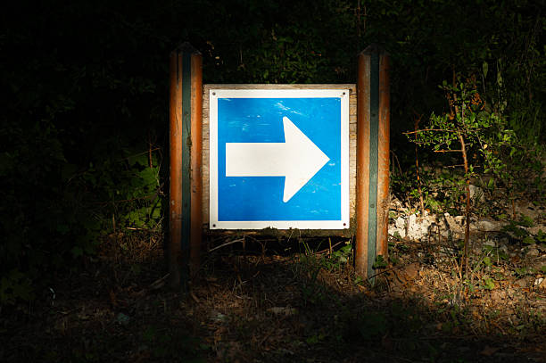 A blue sign with a white arrow indicates the direction on a forest trail. The sign is mounted on wooden posts and partially lit by natural sunlight.