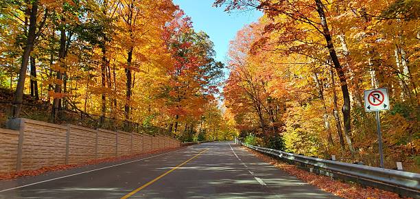 Scenic Autumn Road in the Quabbin Reservoir Park area of Massachusetts.