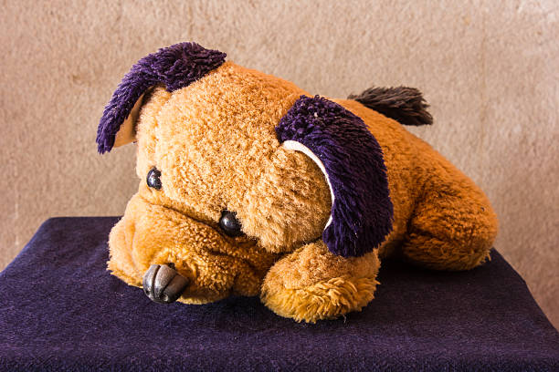 3 year old boy playing with stuffed toy happily on white background
