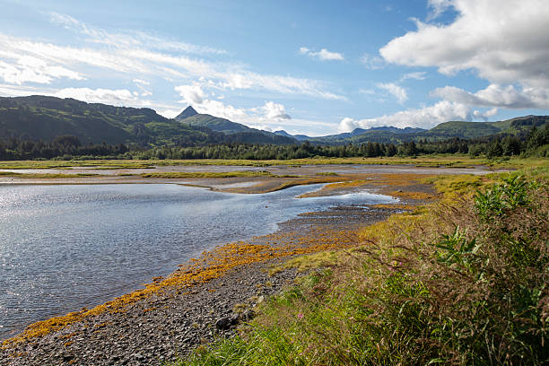Kodiak Island Landscape