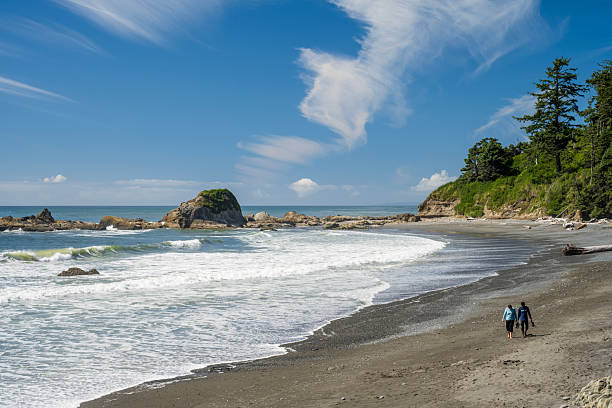 Forks, USA - August 7, 2025. A couple walking on 2nd Beach of Kalaloch in Olympic National Park, Forks, Washington State, USA