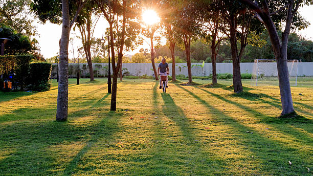 Mature man rides bicycle through tropical forest at sunset, Bangkok