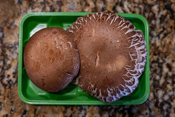 Fresh portobello mushrooms with visible gills underneath.