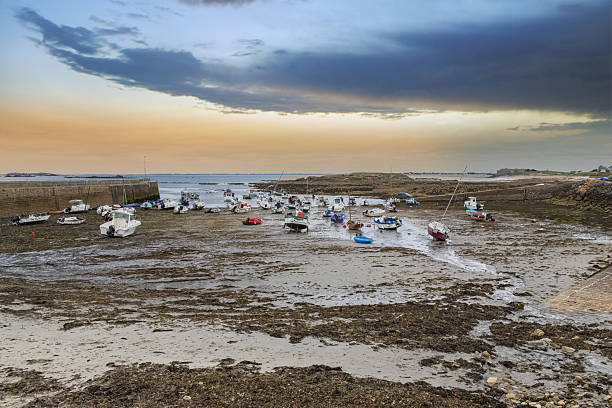 Mudflats and Thames Estuary at low tide at Two Tree Island, Essex