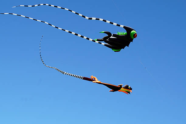 A colorful kite soars against a clear blue sky. The composition is a straightforward capture of the kite in flight, showcasing its unique design and vibrant colors. Bright daylight illuminates the scene.
