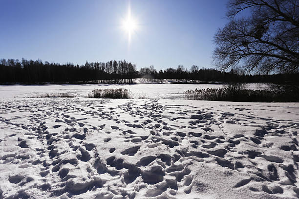 Cold season nature scenery. Clear blue sky over winter countryside.