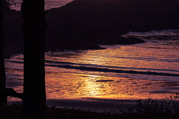Vivid sunset on Vancouver island
