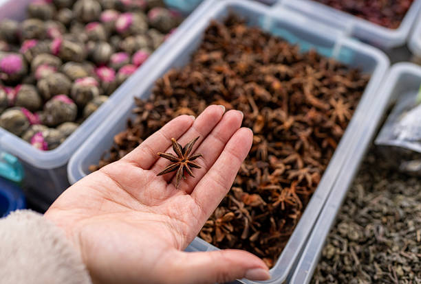 Hand Holding a Single Star Anise Pod at a Spice Market