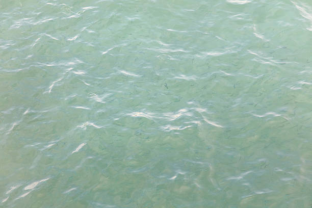 The water is green and has white waves. The water is calm