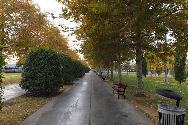 Peaceful park pathway lined with autumn trees and empty wooden benches after rain. Wet pavement reflecting soft daylight, green and yellow foliage creating a calm urban nature atmosphere. Perspective composition suitable for themes of relaxation, solitude and seasonal change.